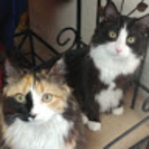 Meet your Posher, Cassandra